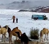 Saudi Arabia Snowfall a Warning for India