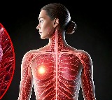 Disrupted sleep cycles linked to aggressive breast cancer: Study