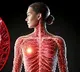 Disrupted sleep cycles linked to aggressive breast cancer: Study
