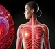 Disrupted sleep cycles linked to aggressive breast cancer says Study