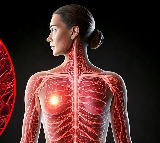 Study finds risk-based approach better for breast cancer screening