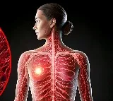 Study finds risk-based approach better for breast cancer screening