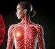 Study finds risk-based approach better for breast cancer screening