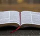 Kerala: World’s longest handwritten Bible to be unveiled in Thrissur tomorrow