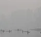 Minimum temperature rises above zero in Srinagar; rain, snow forecast from Dec 30 to January 1 in J&K