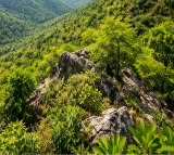 SC’s crucial suo motu hearing on Aravalli definition tomorrow