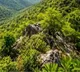 SC’s crucial suo motu hearing on Aravalli definition tomorrow