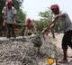 VB-G RAM G: States to gain Rs 17,000 crore compared to average allocation of last 7 years