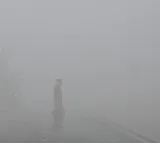 Dense fog leads to 128 flight cancellations at Delhi airport, trains delayed in several parts of country