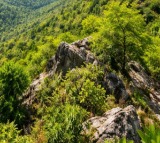 'Further clarification needed': SC puts revised Aravalli Hills definition in abeyance, mulls fresh expert committee