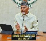 Chandrababu Naidu Orders Volunteer Services in All Temples