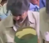 Vijay Falls at Chennai Airport Due to Fan Frenzy