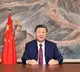 Xi says China ready to work with all countries to advance world peace, development