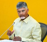 Chandrababu Naidu Wishes Happy New Year to Andhra Pradesh People