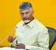 Chandrababu Naidu Wishes Happy New Year to Andhra Pradesh People