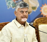 Chandrababu Naidu Orders Strict Action on Draksharamam Incident
