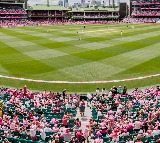 Ashes: Happy with the colour of the pitch at the moment, says SCG curator