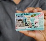 Green Card Rules Tightened Must Live Together After Marriage