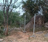 HYDRAA Secures Rs 1200 Crore Government Land in Gandi Guda