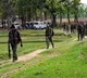 14 Maoists neutralised in Chhattisgarh
