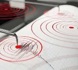 Mexico Earthquake Strikes Guerrero State