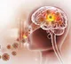 Brain Eating Amoeba Spreading Rapidly New Threat to World
