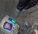 Fake Doctor Arrested for Illegal Animal Blood Trade in Medchal