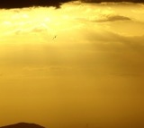 US-Venezuela conflict: Indian refiners set to gain, says report