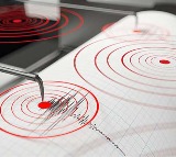                         50        51                54          39                                 