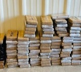 Indian nationals held in US cocaine trafficking case