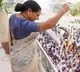 Kalvakuntla Kavitha Receives Massive Support at Her Residence