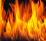 Private Travels Bus Catches Fire in Andhra Pradesh