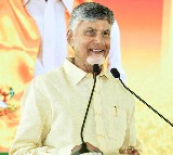 Chandrababu Naidu Focuses on Error Free Land Records for Farmers