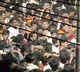 Karur stampede case: CBI summons police personnel deployed for security at TVK rally