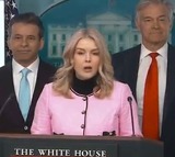 White House Confirms Greenland Purchase Discussions