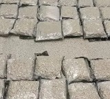 Hydroponic ganja valued at Rs 14 crore seized at Hyderabad Airport