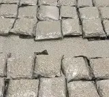 Hydroponic ganja valued at Rs 14 crore seized at Hyderabad Airport