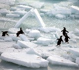 World's oceans set new heat record in 2025: Study