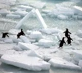 World's oceans set new heat record in 2025: Study