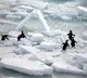 World's oceans set new heat record in 2025: Study