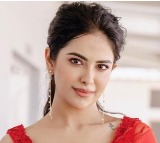 Avika Gor Clarifies Pregnancy Rumors