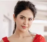 Avika Gor Clarifies Pregnancy Rumors