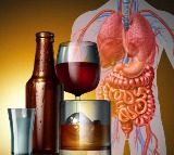 Alcohol Binge Drinking Seriously Damages Gut Health Study Reveals