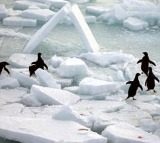 Ocean Warming Record Sea Temperatures Hit in 2025