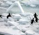 Ocean Warming Record Sea Temperatures Hit in 2025