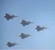 Republic Day Delhi Uses Chicken to Prevent Bird Strikes