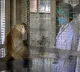 Monkey Shortage in China Drives Price to Rs 25 Lakh