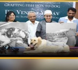 Dog Reborn with Fish Skin Graft in Hyderabad Veterinary Miracle