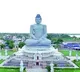 Narayana Launches Second Phase of Land Pooling in Amaravati
