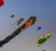 International kite festival begins in Hyderabad